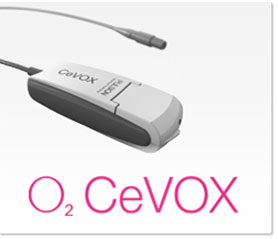 CeVOX模塊.jpg